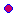Porrhomma myops