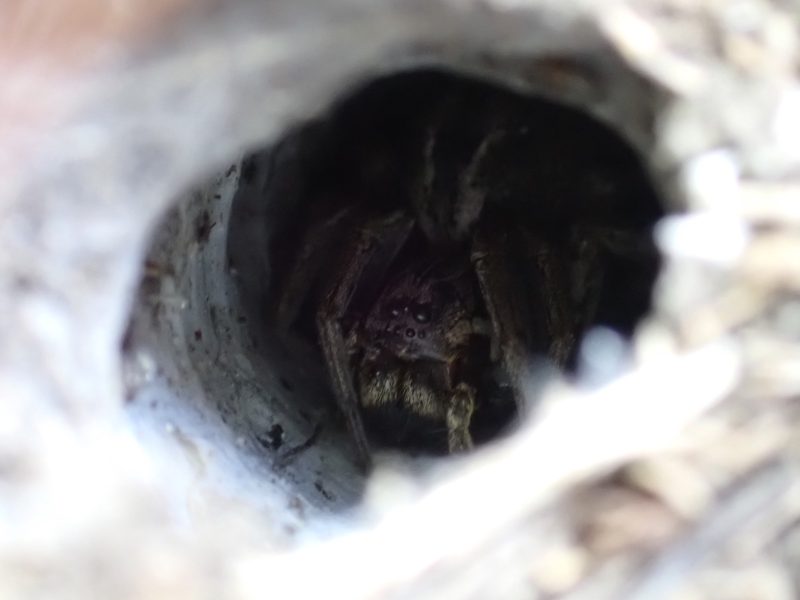  &copy; Eliáš Blažíček