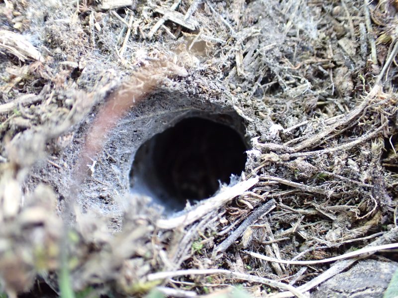  &copy; Eliáš Blažíček