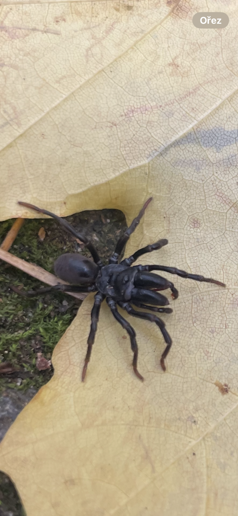  &copy; Anna Moravcová