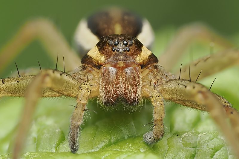  &copy; Pavel Krásenský
